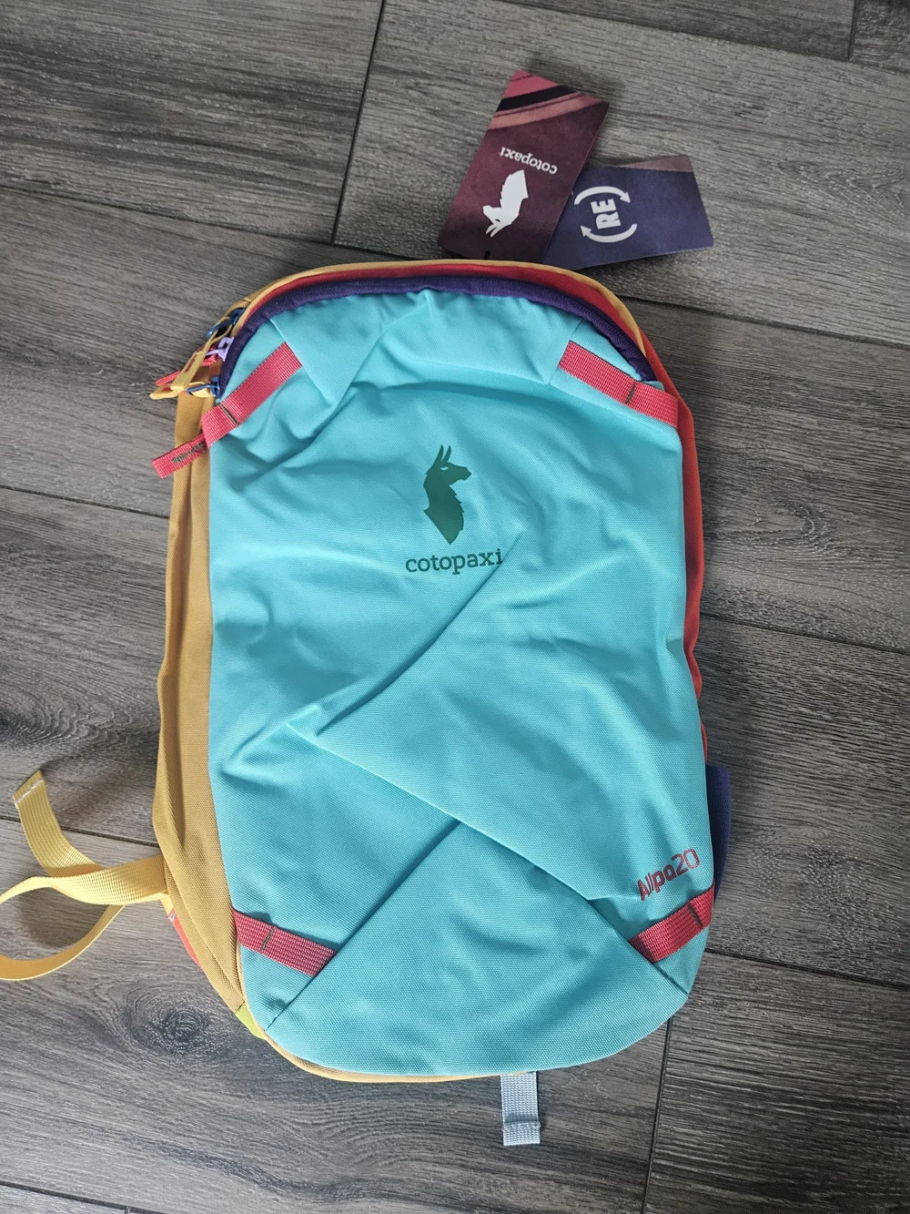 Cotopaxi 20L Turquoise & Mustard Men’s Backpack - Colorblock Backpack